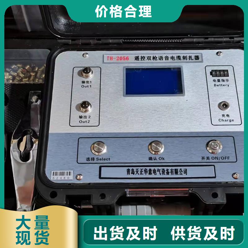 地下金属管道防腐层探测检漏仪