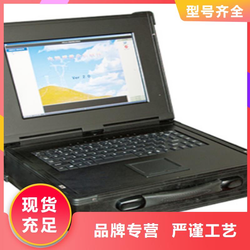 防窃电型远程用电稽查仪实力雄厚