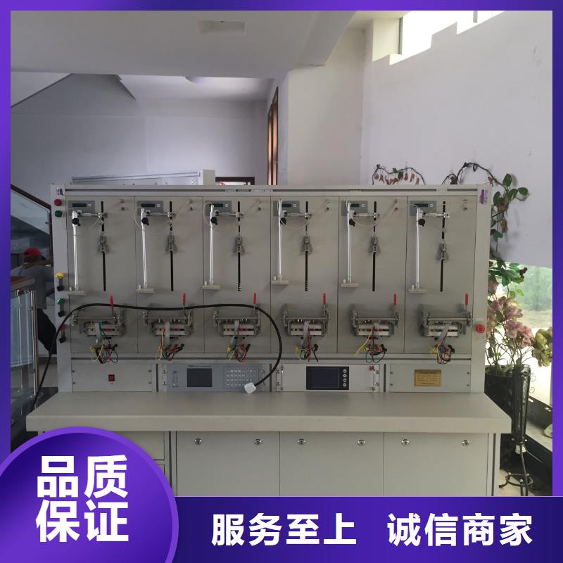 三相电能表校验装置,【智能变电站光数字测试仪】按需设计当地制造商