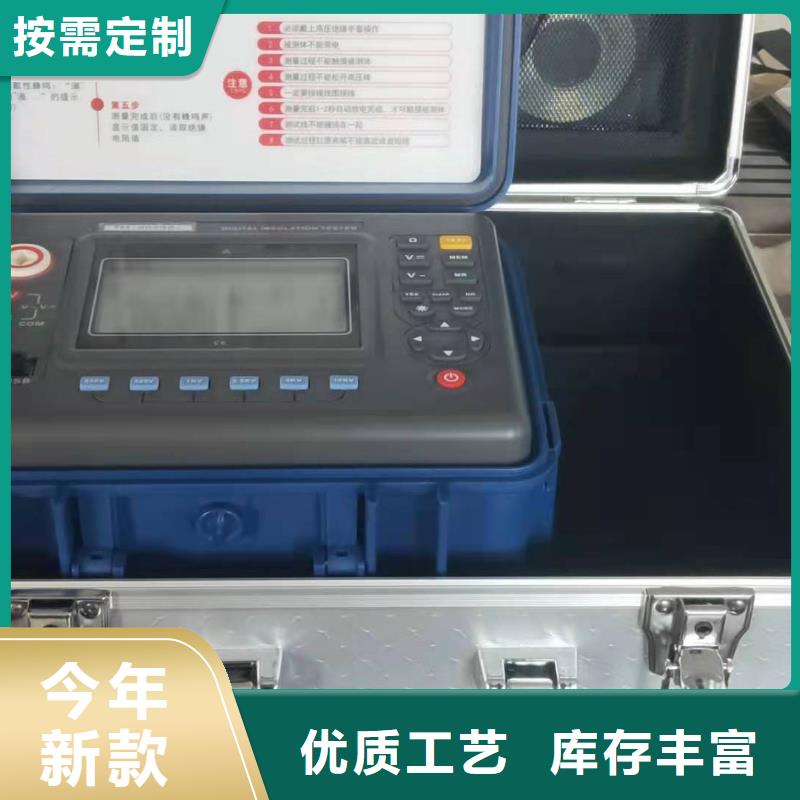 智能双显绝缘电阻测试仪匠心品质