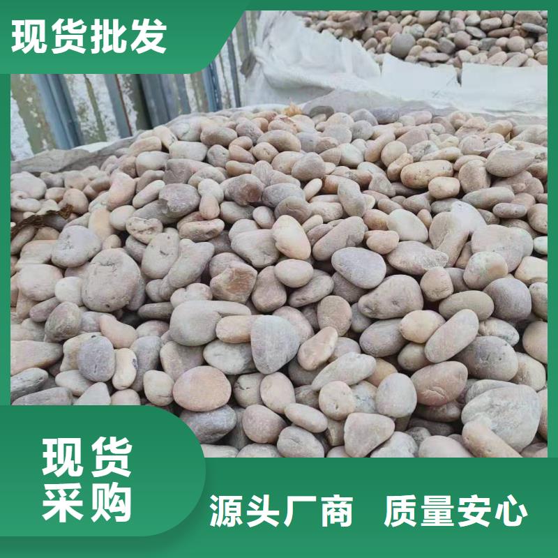 质量合格的氨氮去除剂厂家