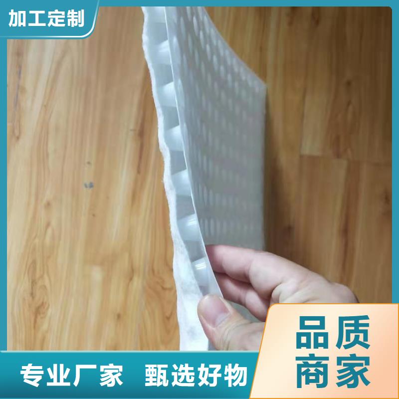 虹吸排水植草格我们更专业