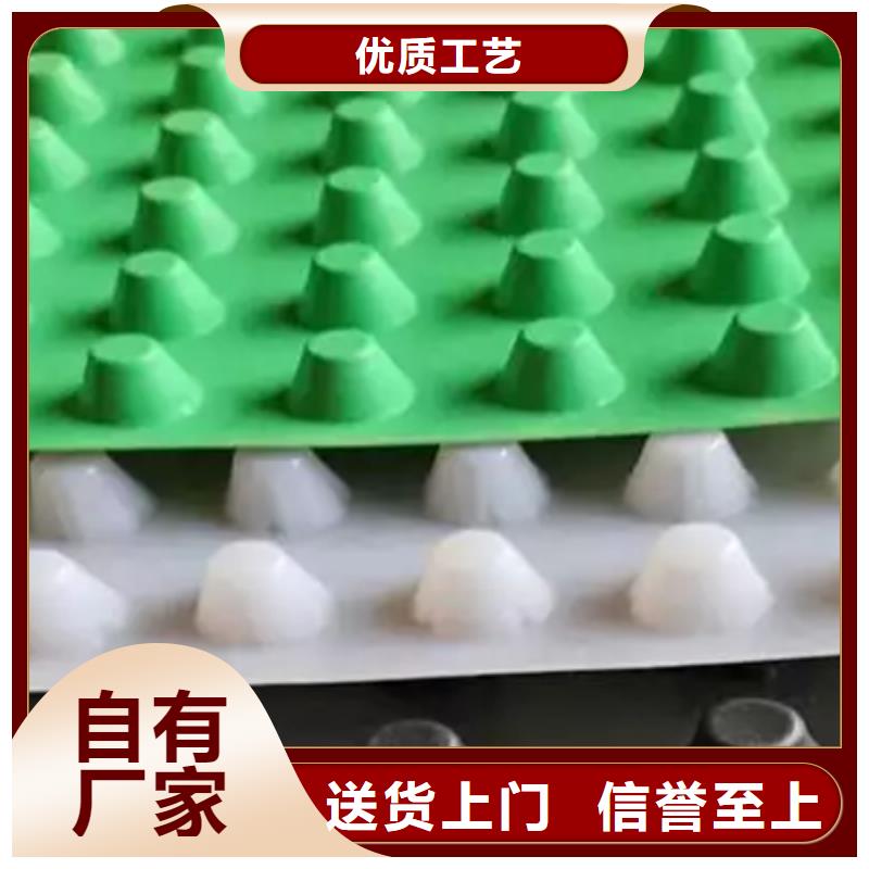 虹吸排水植草格我们更专业