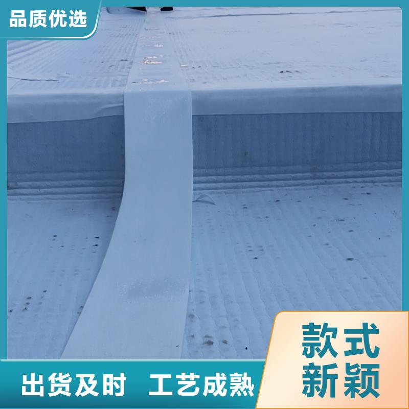 防护虹吸排水收集系统本地厂家