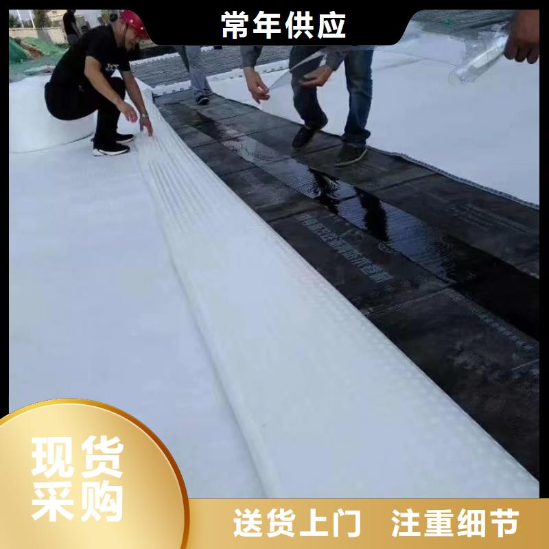 【 虹吸排水-排水板厂家定制】