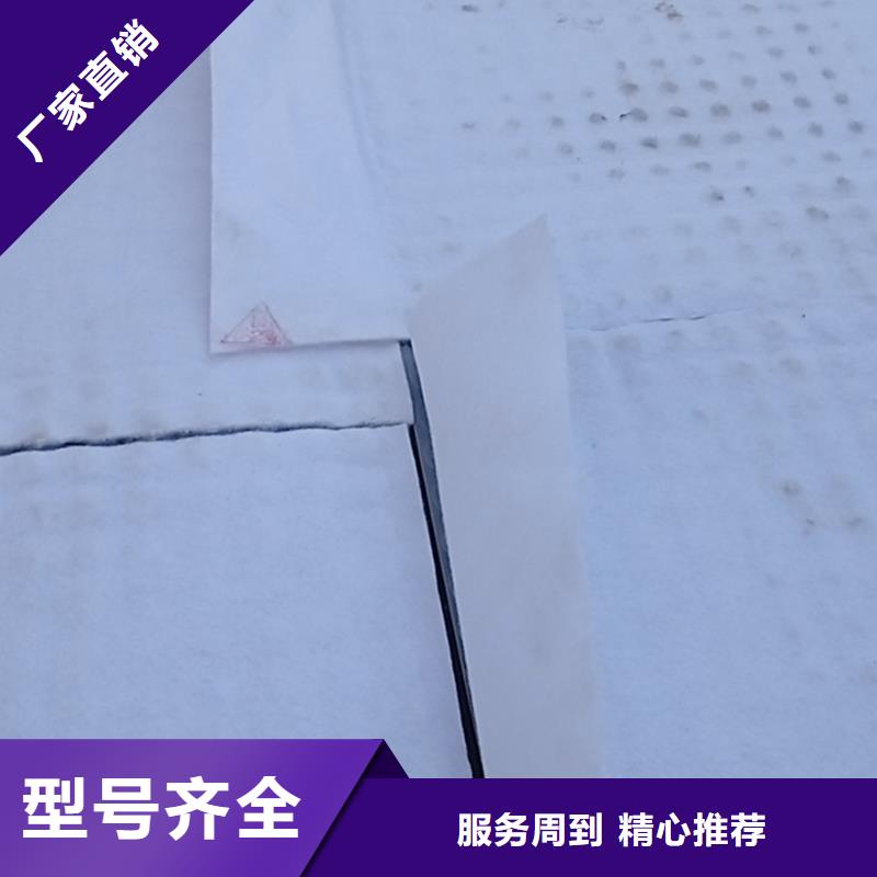 防护虹吸排水收集系统本地厂家
