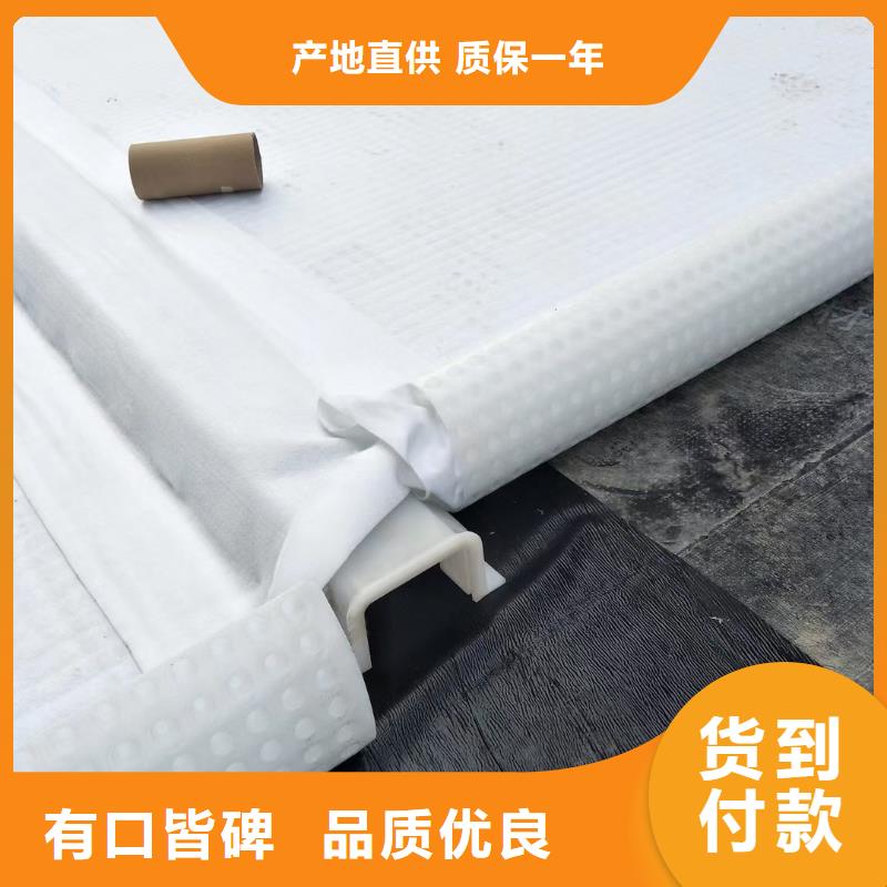 虹吸排水化粪池水泥信誉至上