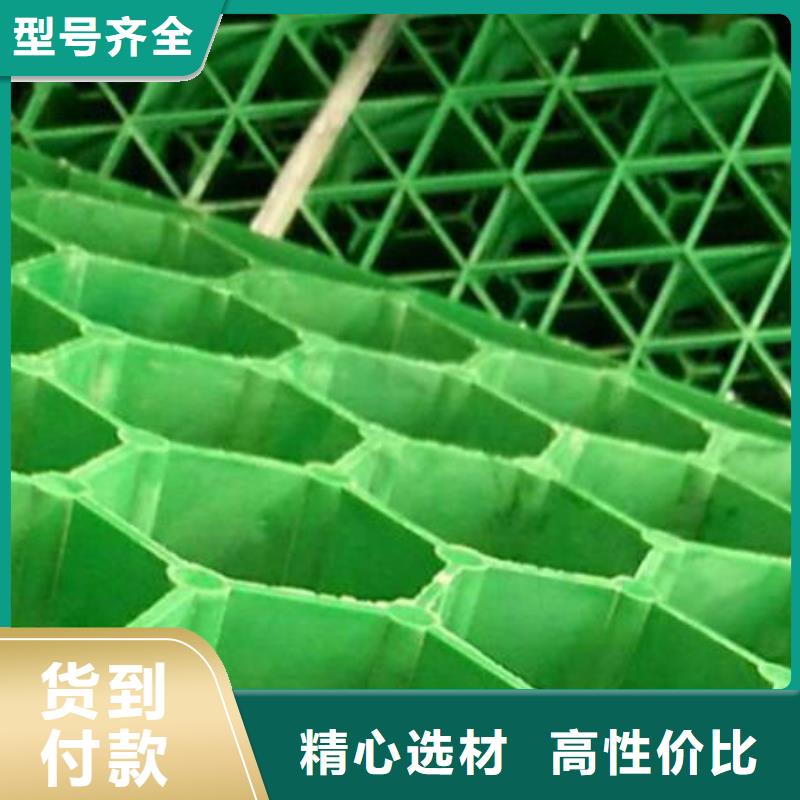 植草格-水泥化粪池厂家新品