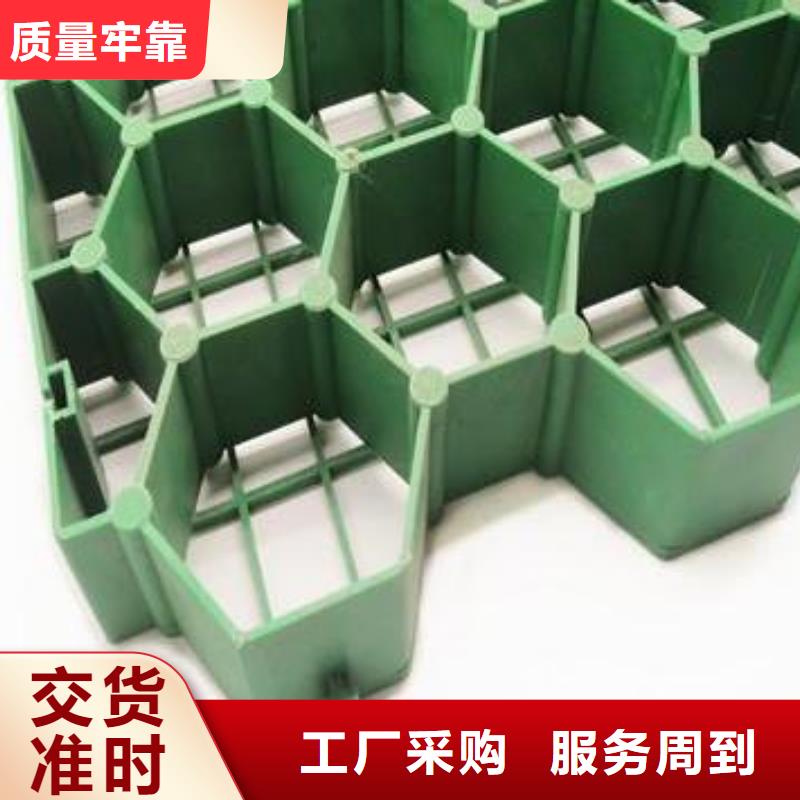 植草格厂家