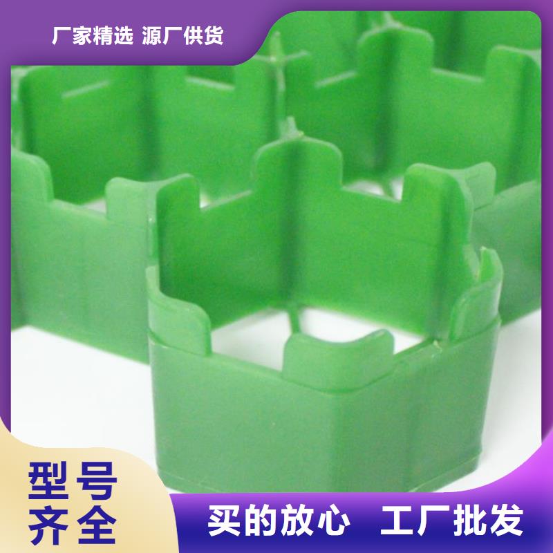 植草格_车库虹吸排水系统精心打造