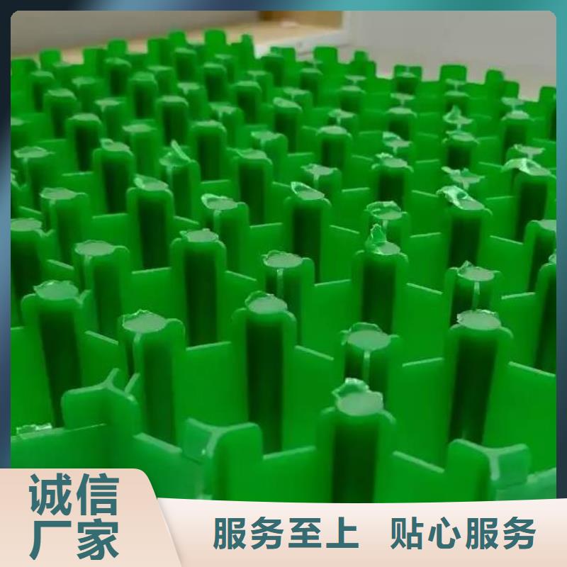 植草格防护虹吸排水收集系统厂家直发