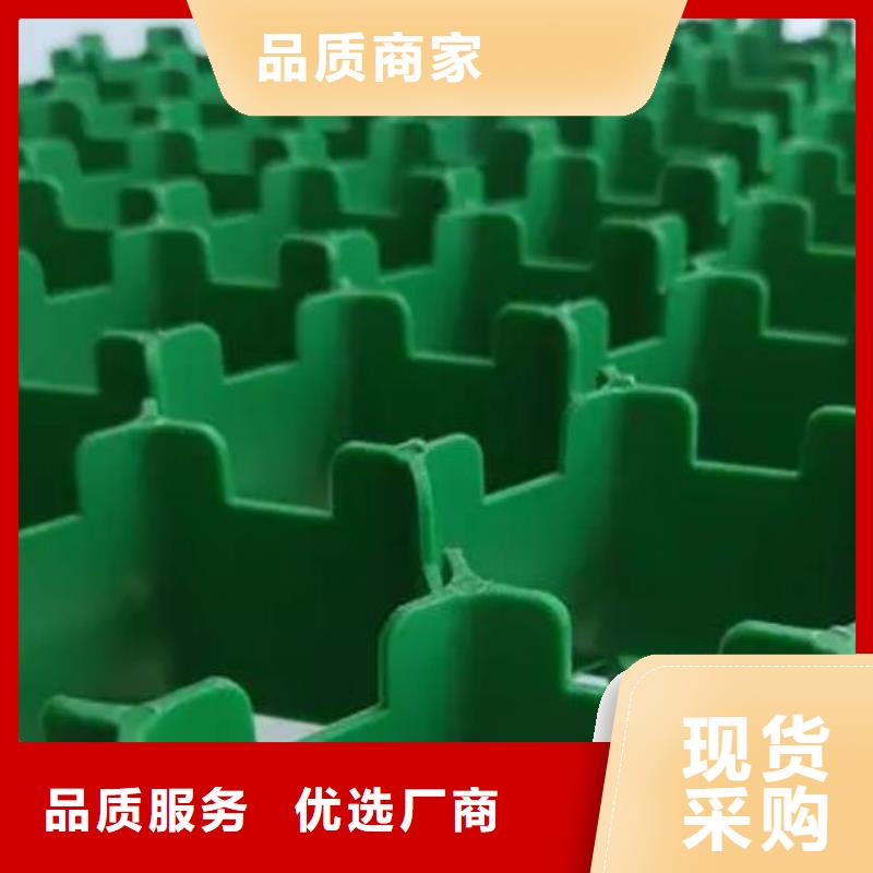 植草格植草格实力厂家