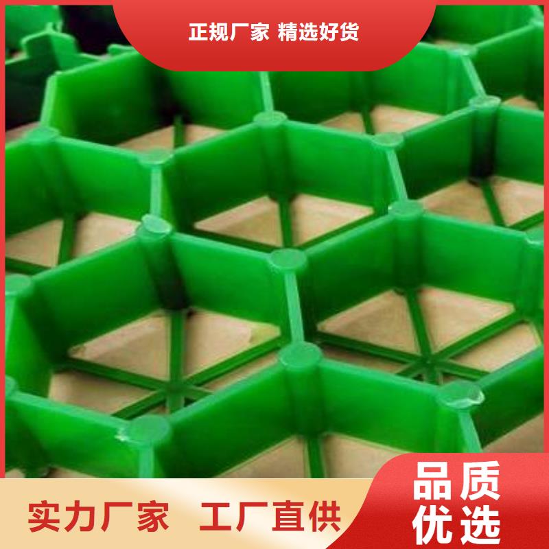 【植草格】- 植草格快速报价朋联