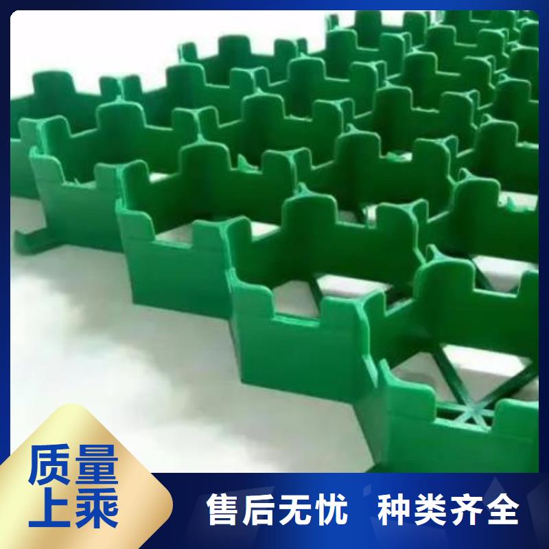 【植草格,防护虹吸排水收集系统主推产品】