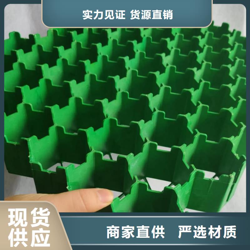 植草格厂家直营发售