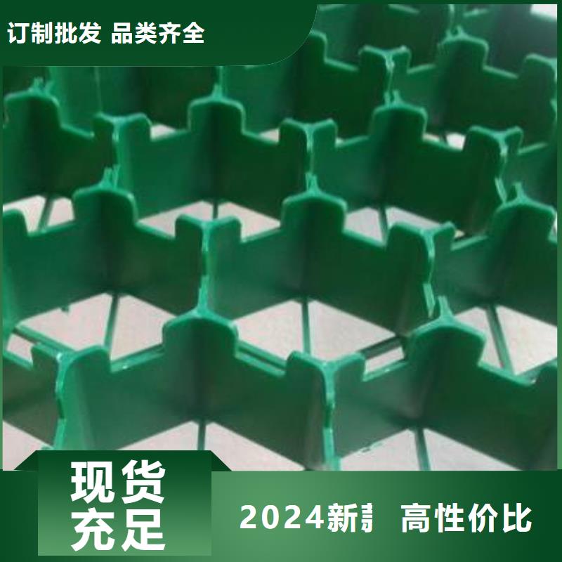 植草格公司-厂家直营