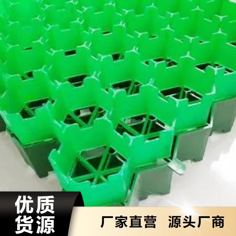 【植草格】水泥化粪池厂家规格全