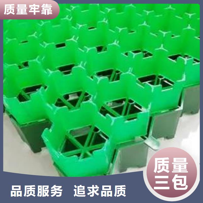 塑料植草格厂家供应