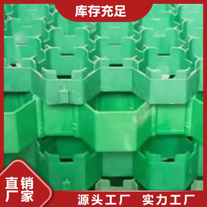 植草格厂家直营发售