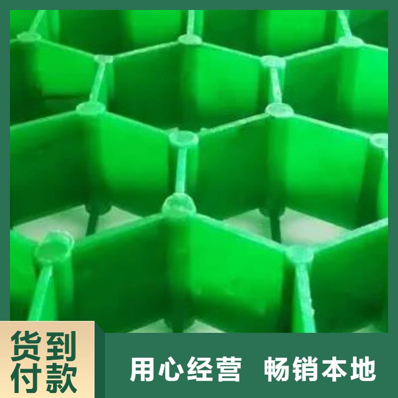 植草格植草格常年供应