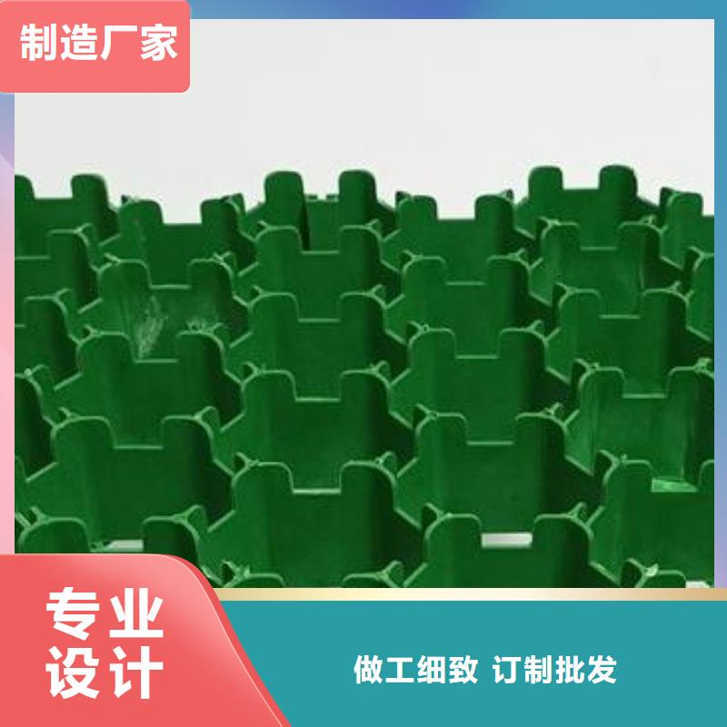 植草格厂家