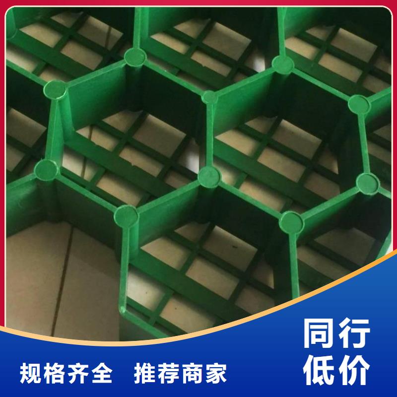 植草格厂家-批发零售价