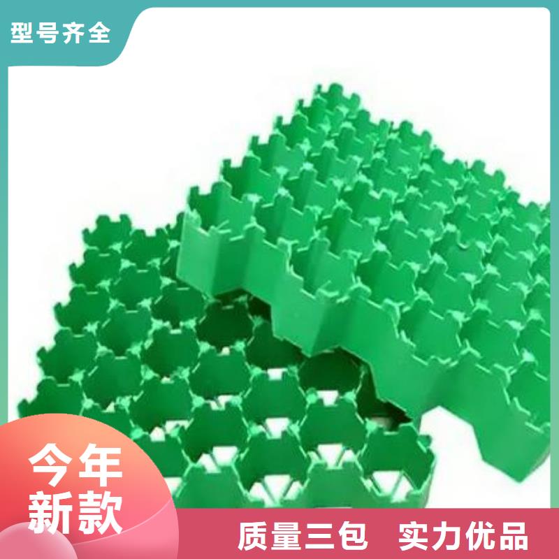 植草格公司-厂家直营