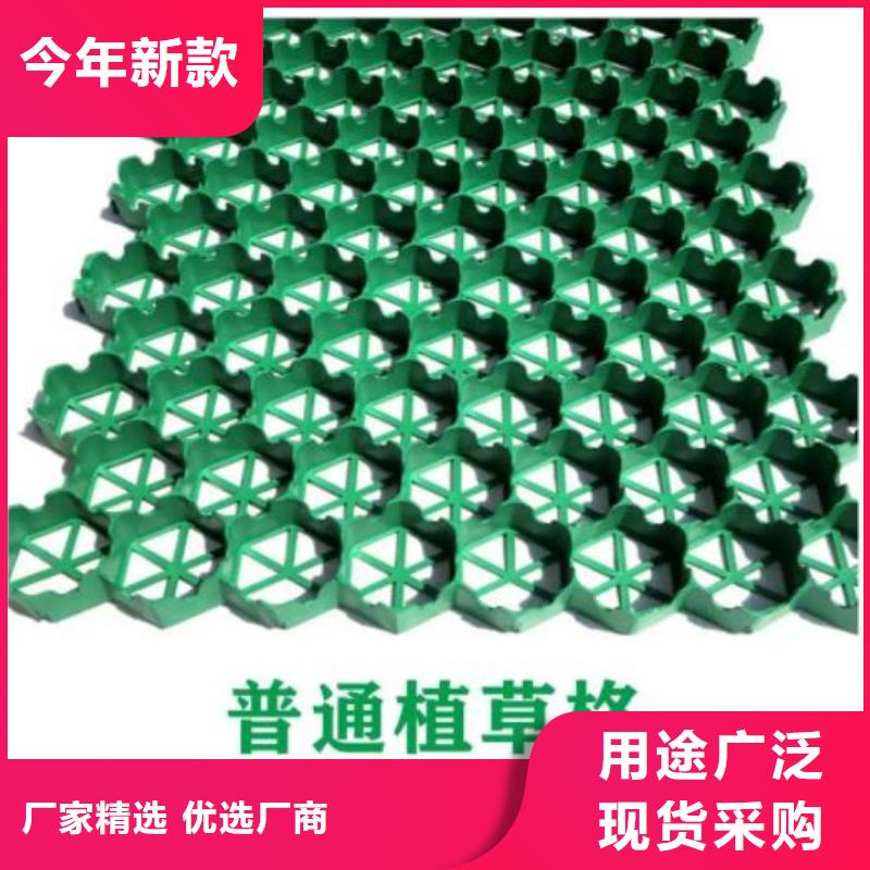 设计合理【植草格】- 植草格快速报价附近公司