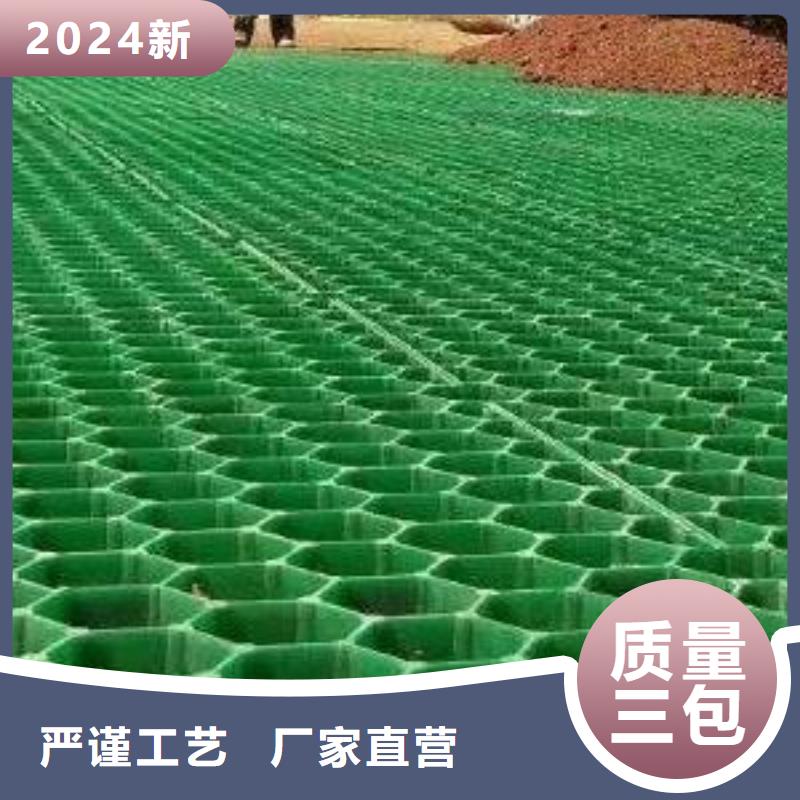 植草格-植草格生产安装