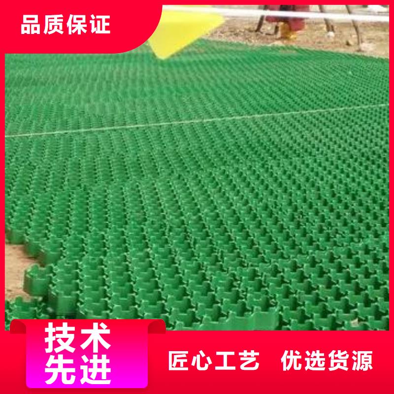 植草格厂家直营发售
