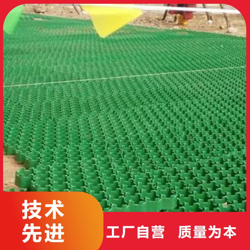 植草格植草格常年供应