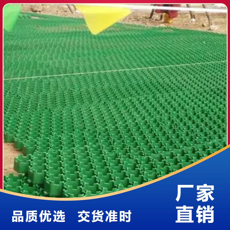 塑料植草格本地厂家