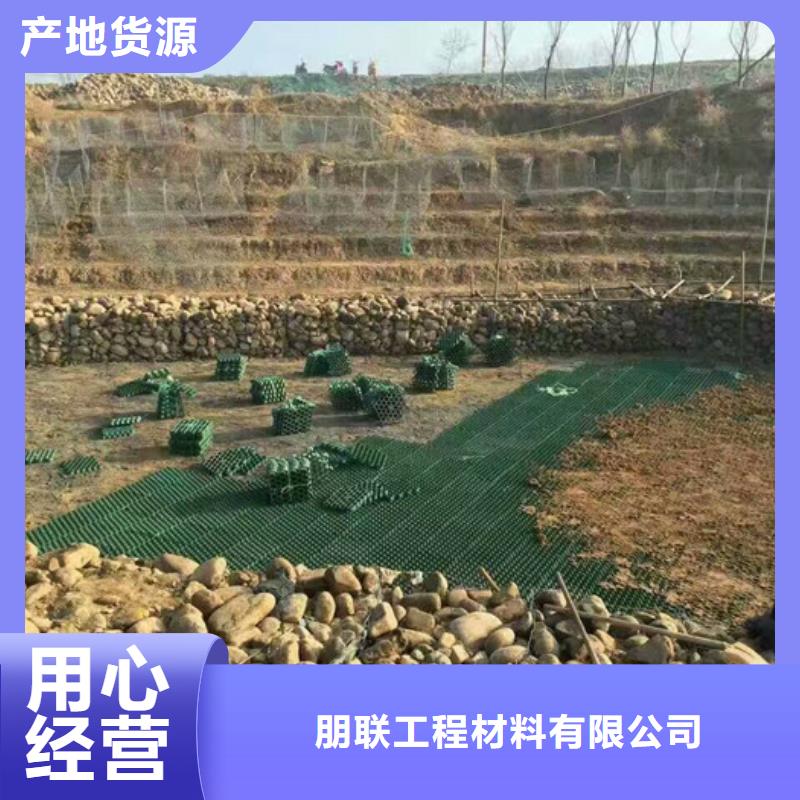 塑料植草格多钱