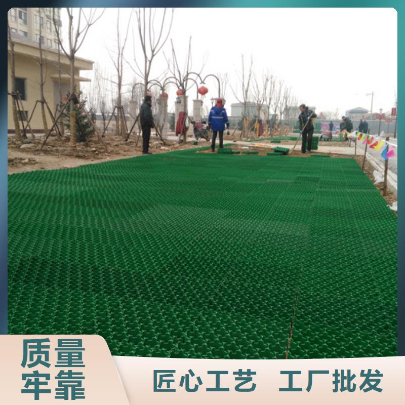 塑料植草格实业集团-欢迎咨询