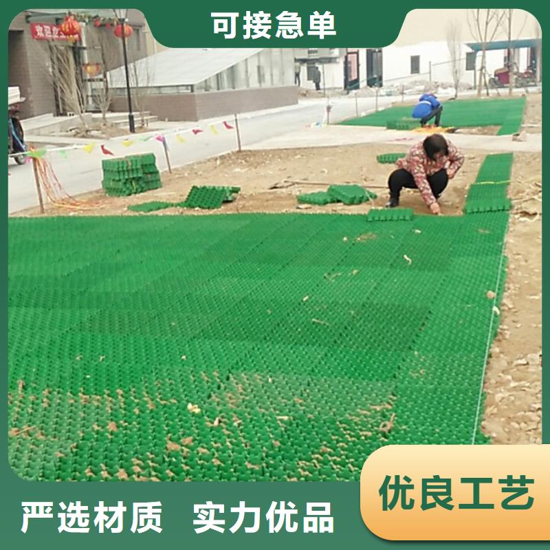 塑料植草格批发-行情价