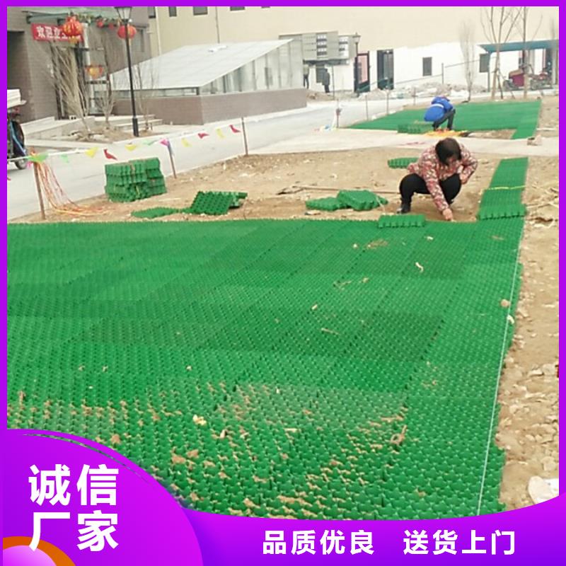 植草格价格低