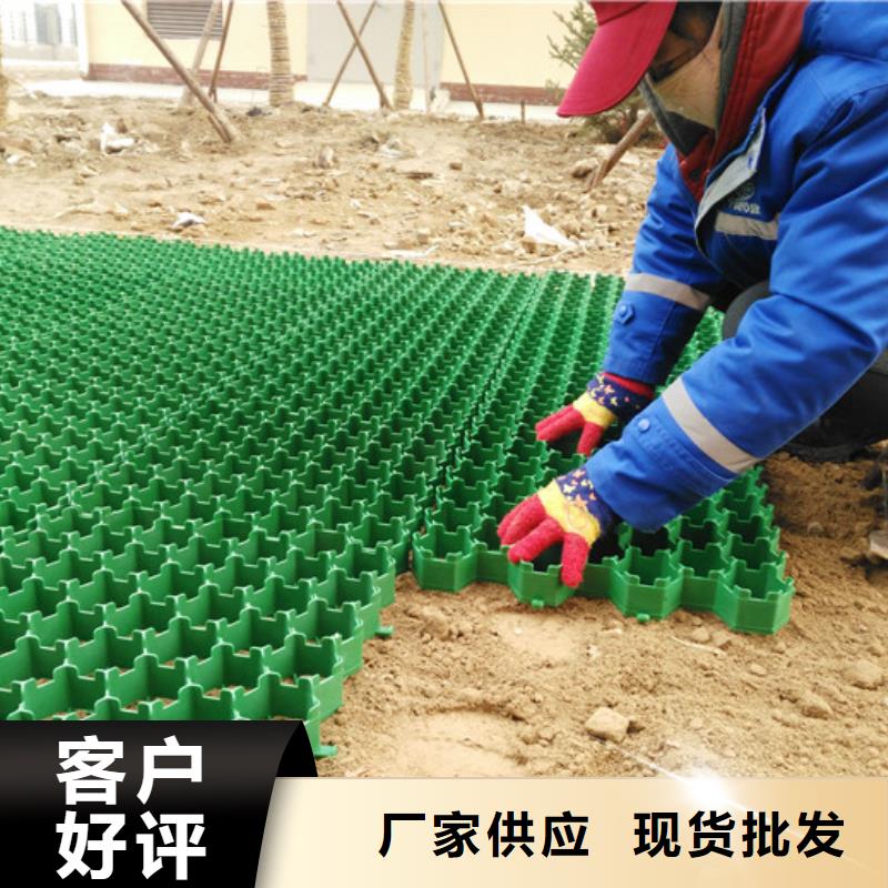 塑料植草格实业集团-欢迎咨询