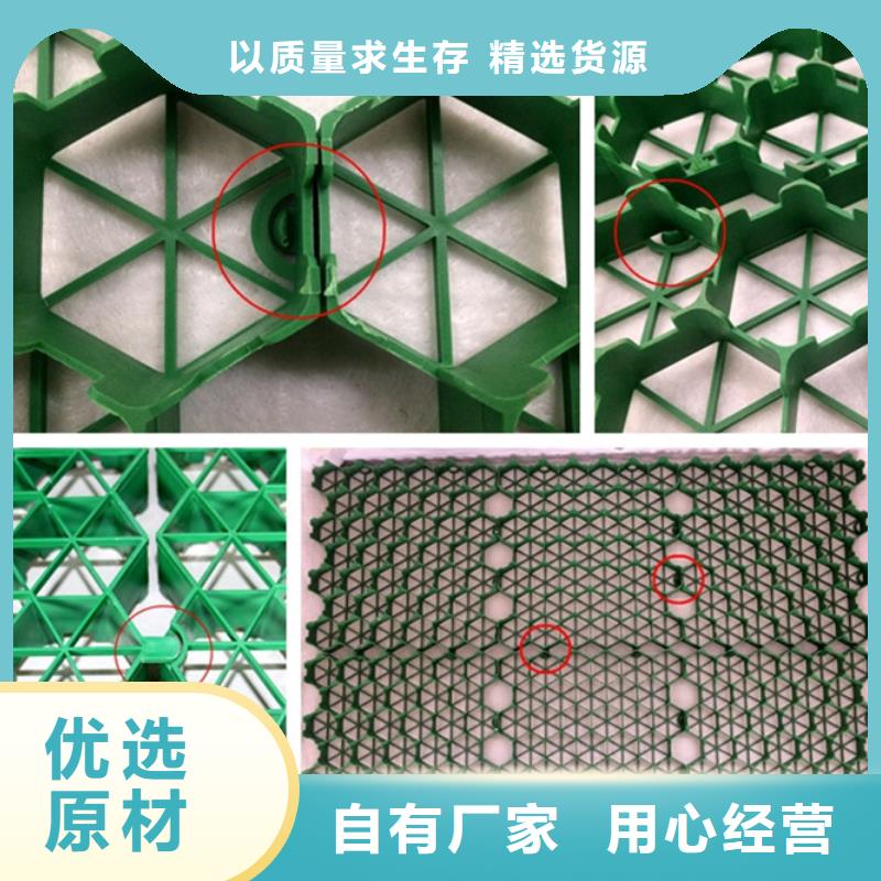 植草格-实业集团