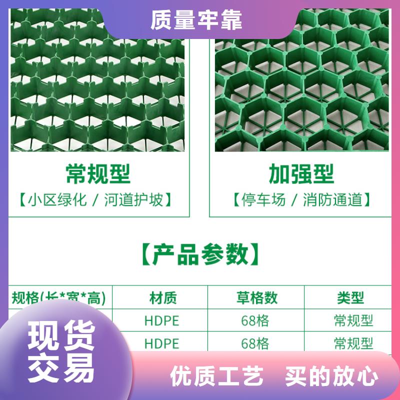 塑料植草格集团2024已更新