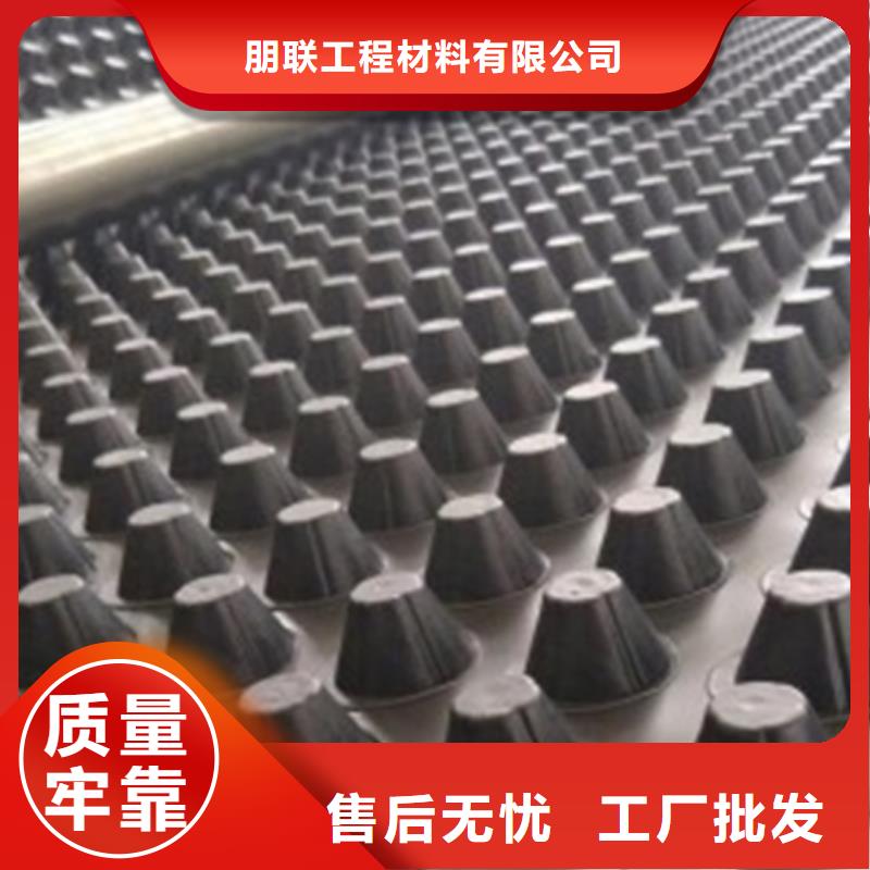 一站式采购商 塑料排水板 【防护虹吸排水收集系统】精工细作品质优良-朋联工程材料有限公司