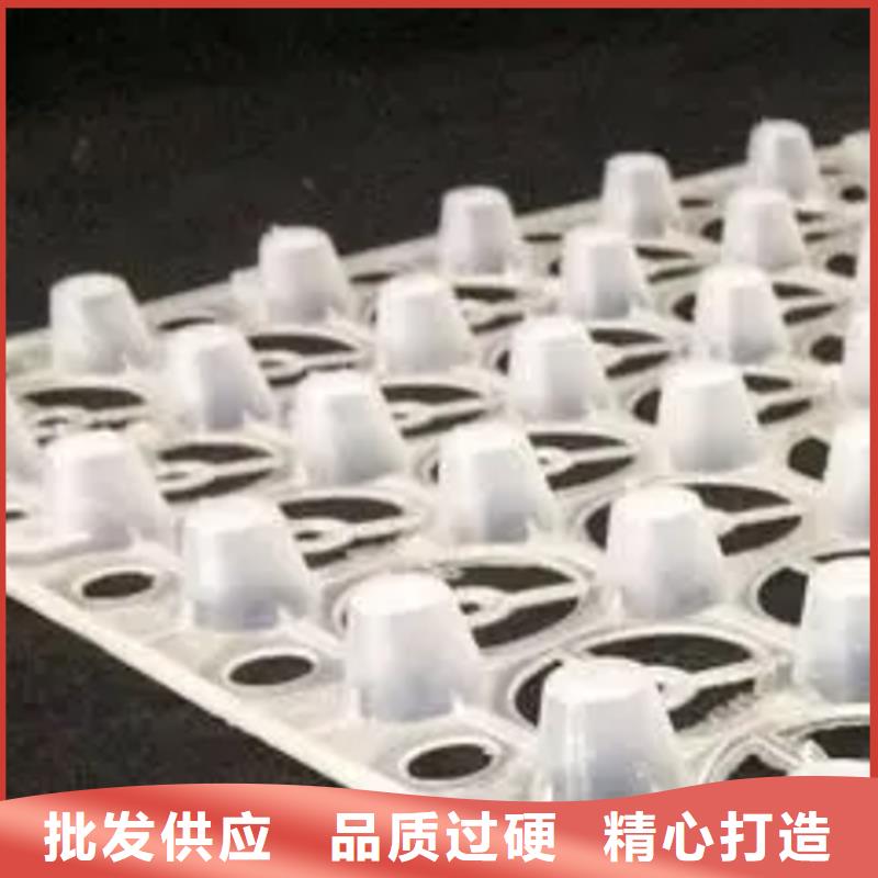 塑料排水板 【防护虹吸排水收集系统】精工细作品质优良-服务区域包括旌德|郎溪|阜阳|滁州|黄山|马鞍山等-产品视频