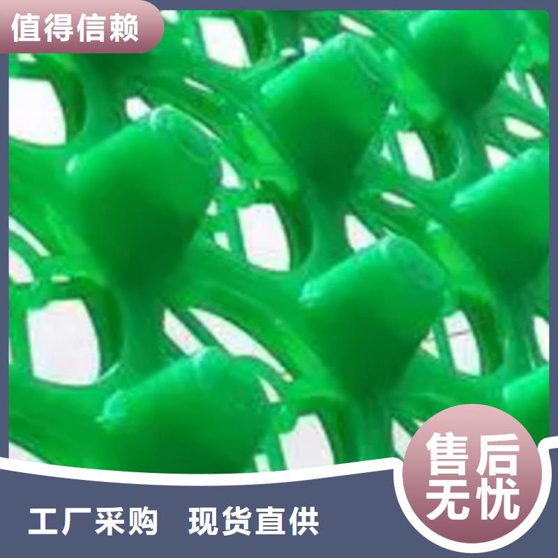 朋联【塑料排水板】-防护虹吸排水收集系统好品质用的放心39065.com