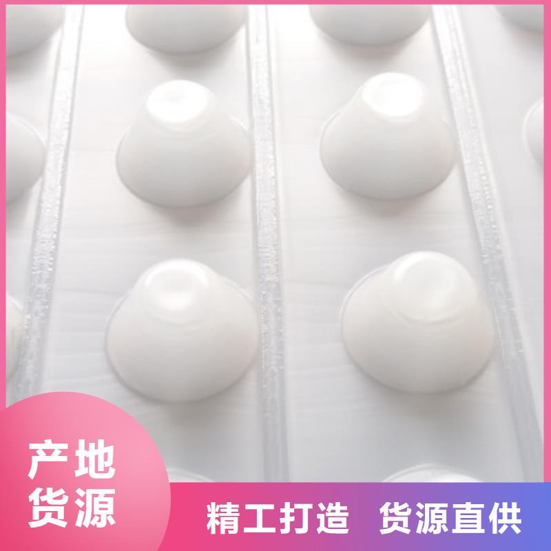 【 塑料排水板防护虹吸排水收集系统专业厂家】-服务范围包括龙游|江山|宁波|湖州|丽水|温州|舟山|杭州等