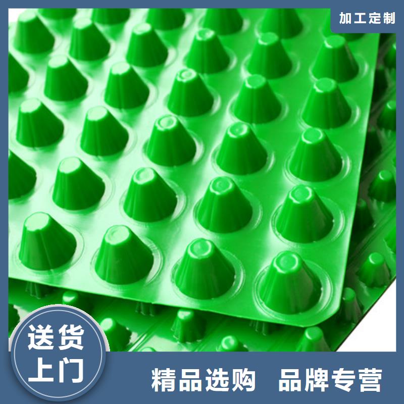 朋联【塑料排水板】-防护虹吸排水收集系统好品质用的放心39065.com