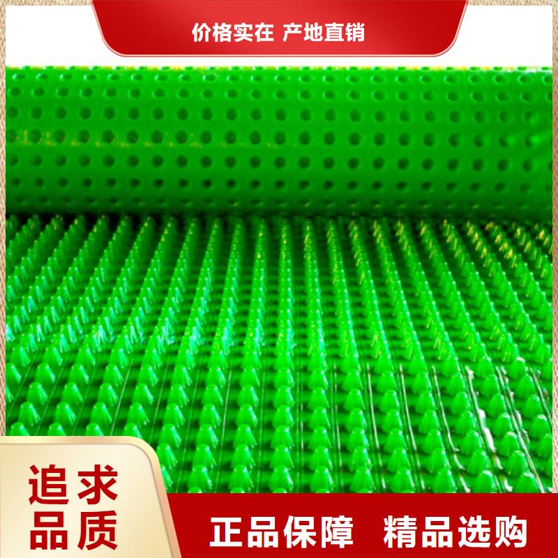朋联【塑料排水板】-防护虹吸排水收集系统好品质用的放心39065.com