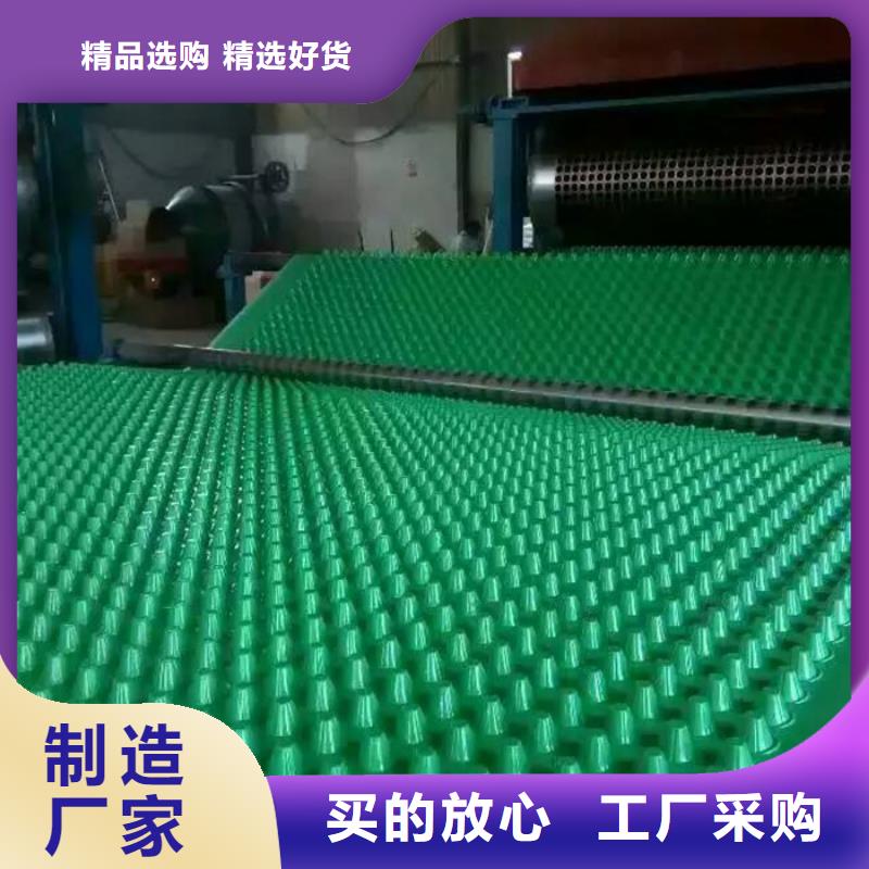 一站式采购商 塑料排水板 【防护虹吸排水收集系统】精工细作品质优良-朋联工程材料有限公司