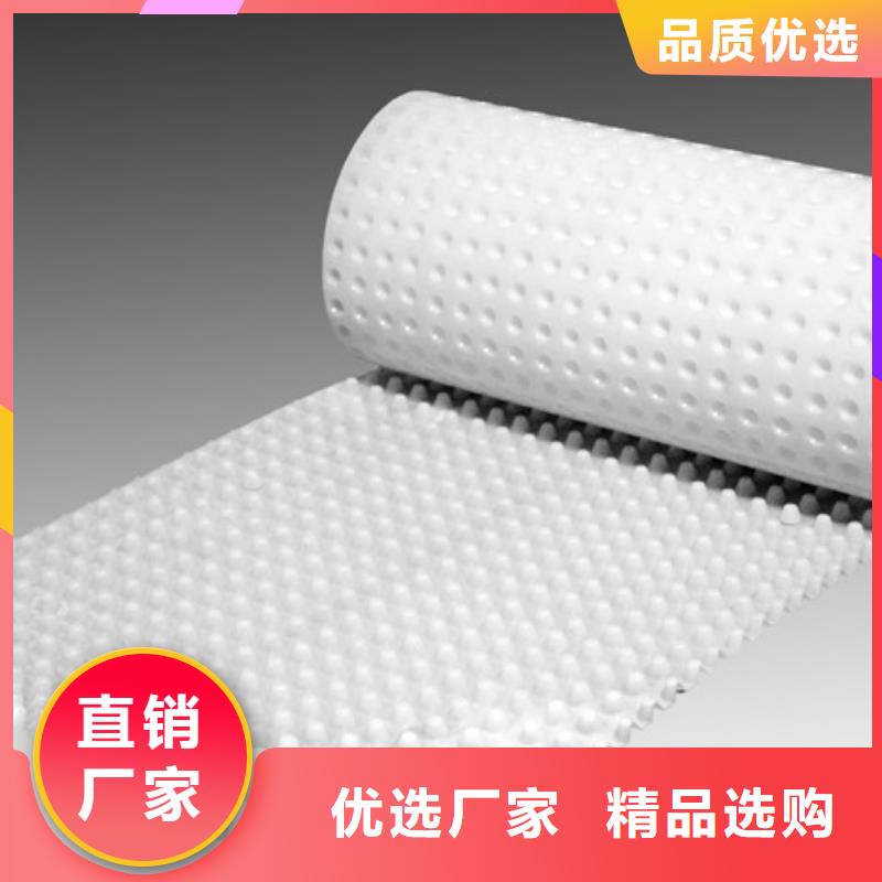 一站式采购商 塑料排水板 【防护虹吸排水收集系统】精工细作品质优良-朋联工程材料有限公司