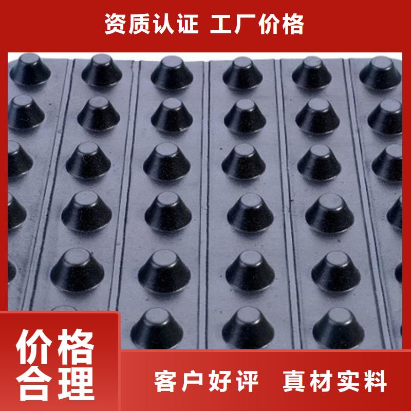 一站式采购商 塑料排水板 【防护虹吸排水收集系统】精工细作品质优良-朋联工程材料有限公司