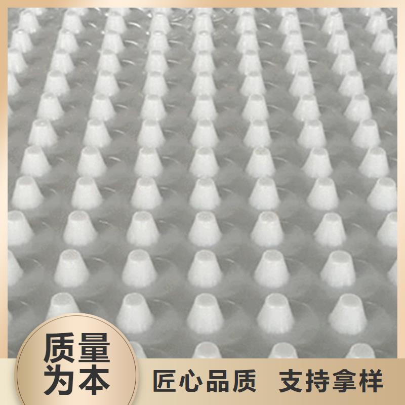 一站式采购商 塑料排水板 【防护虹吸排水收集系统】精工细作品质优良-朋联工程材料有限公司