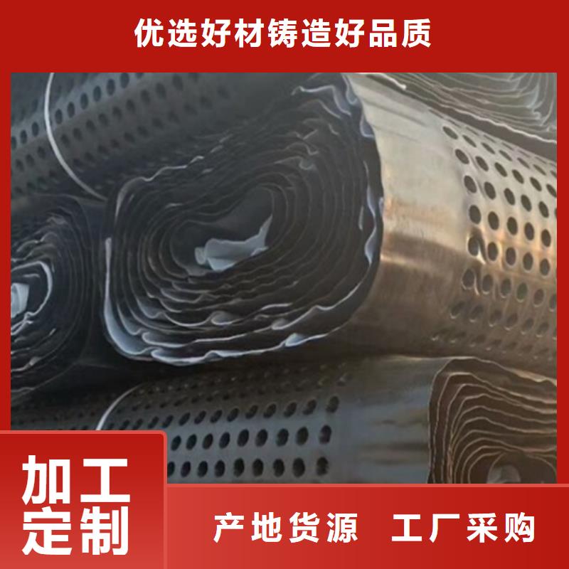 朋联【塑料排水板】-防护虹吸排水收集系统好品质用的放心39065.com